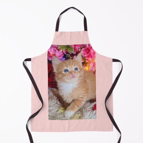 Item preview, Ginger ragdoll Mainecoon kitten designed and sold by Fluffycat2020.