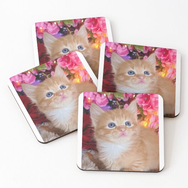 Item preview, Ginger ragdoll Mainecoon kitten designed and sold by Fluffycat2020.