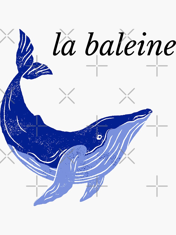 "La Baleine en français (Whale in French)" Sticker by RocketN00b