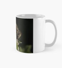 Abeja con Polen Mug
