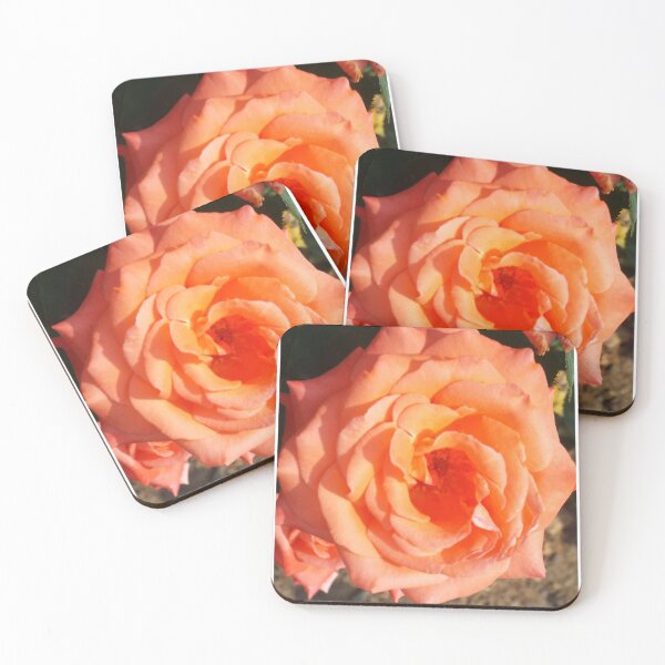 Item preview, Lovely peach colored rose designed and sold by Becky.blueberri.