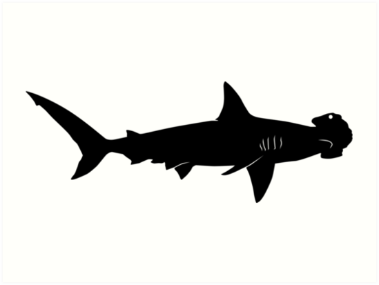 Free Free 50 Silhouette Hammerhead Shark Svg SVG PNG EPS DXF File
