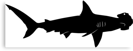 Download "Hammerhead Shark Silhouette (Black)" Canvas Prints by ...