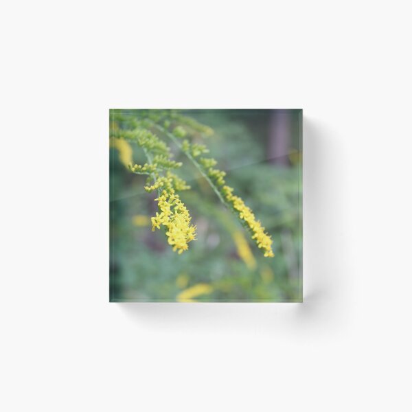 Item preview, Goldenrod designed and sold by Krystina Starks.