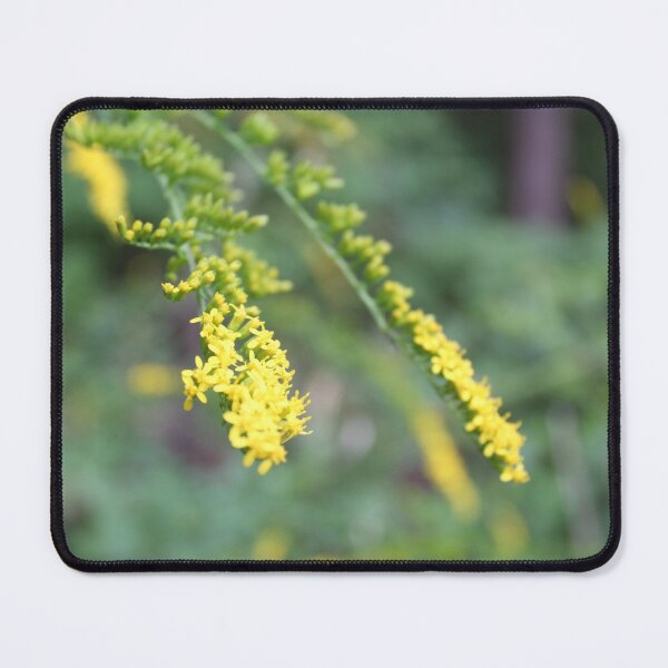 Item preview, Goldenrod designed and sold by Krystina Starks.