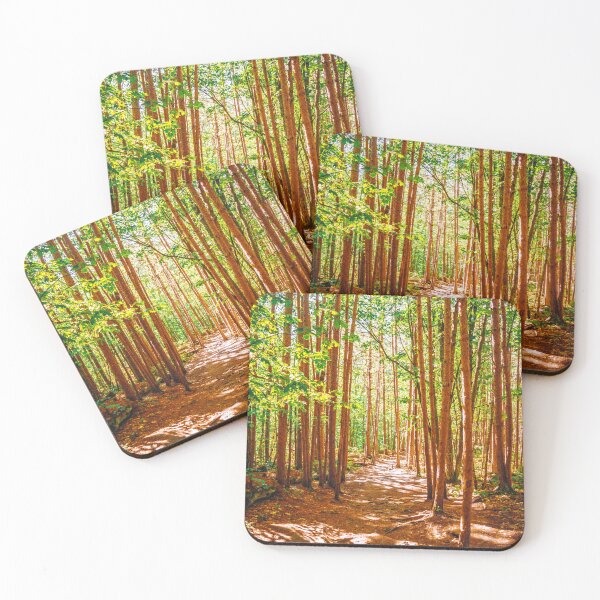 Item preview, Forest Photography | Scenic Landscape and Nature designed and sold by anthonylonder.