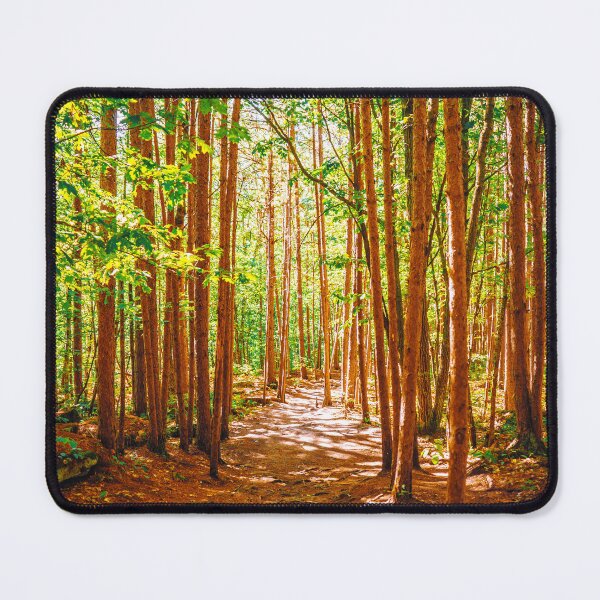 Item preview, Forest Photography | Scenic Landscape and Nature designed and sold by anthonylonder.