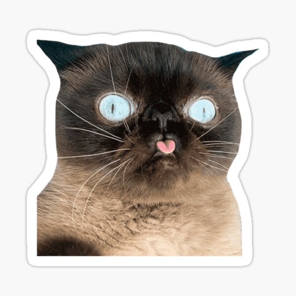 Cat Tongue Out Sticker