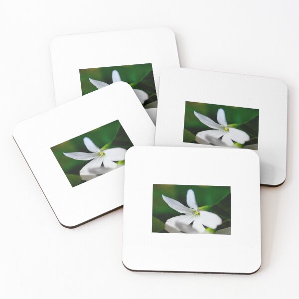 Item preview, Shamrock Flower designed and sold by TorontoMac.
