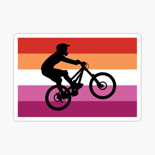 Weatherproof Die Cut Decal Road Bike Triathlon Bike Ohio State Flag Bicycle Sticker Mountain Bike