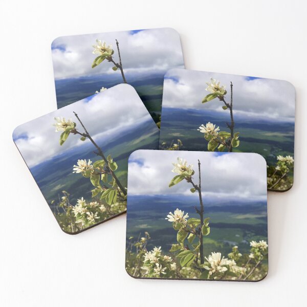 Item preview, Serviceberry on Black Butte, Oregon designed and sold by PirateGirl28.