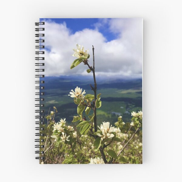 Item preview, Serviceberry on Black Butte, Oregon designed and sold by PirateGirl28.