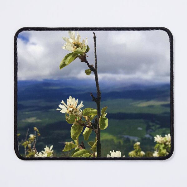 Item preview, Serviceberry on Black Butte, Oregon designed and sold by PirateGirl28.