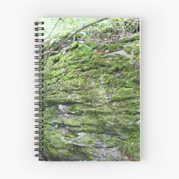 Item preview, Mossy Rock Wall designed and sold by Krystina Starks.