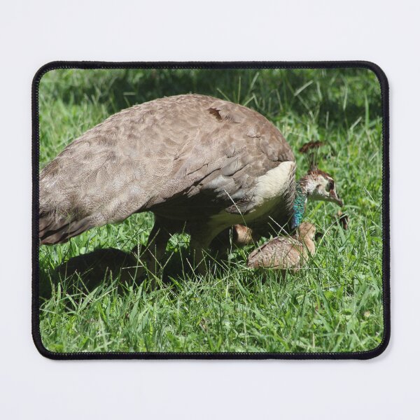 Item preview, Peahen with Chick designed and sold by Krystina Starks.