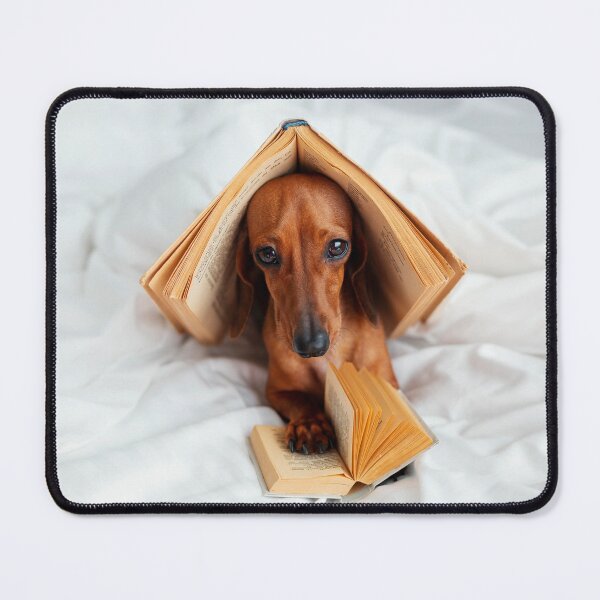 Item preview, Cute Dog With Books in Bed designed and sold by ONORMAL.