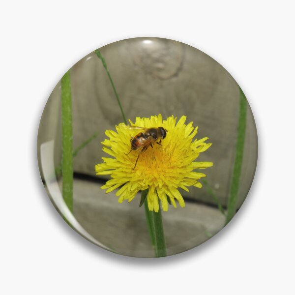 Item preview, Drone fly on a dandelion designed and sold by greentiger1.