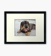 Happiness Framed Print