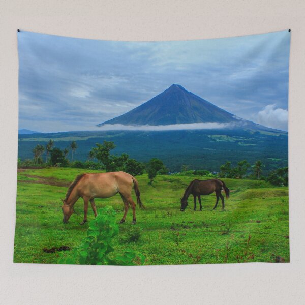 Item preview, Mayon Volcano with a horse pasture designed and sold by Pabalonshop.