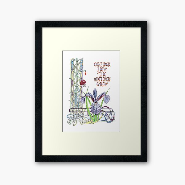 Framed Print