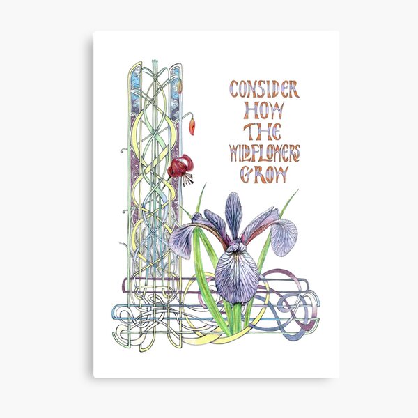 Metal Print