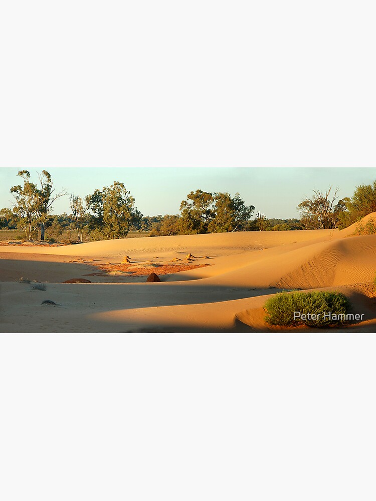 Perry sand dunes by PeterH