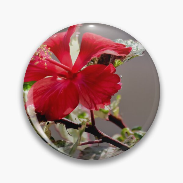 Item preview, China Rose designed and sold by MEJBAH09.