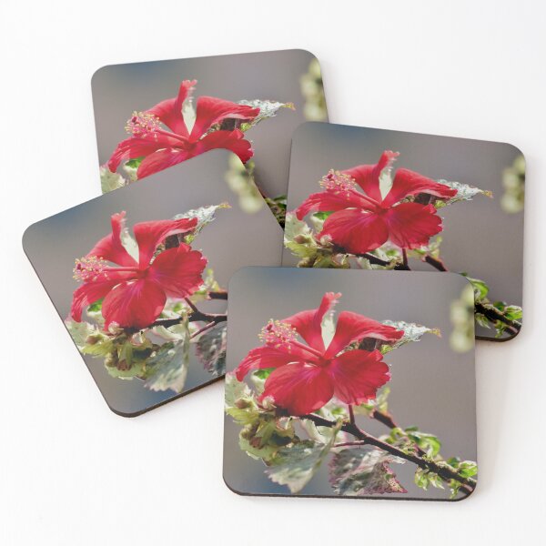 Item preview, China Rose designed and sold by MEJBAH09.