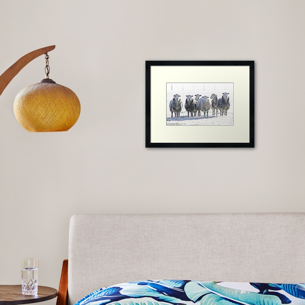 Herdwick Sheep Framed Art Print