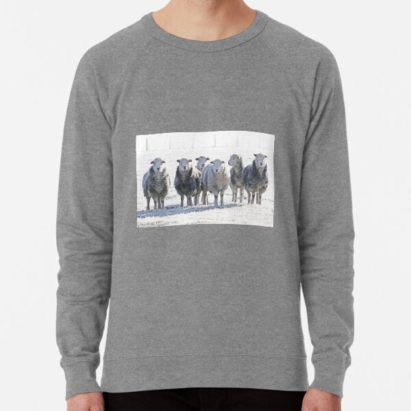 Herdwick Sheep Lightweight Sweatshirt