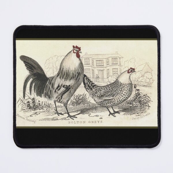 Item preview, Vintage Bolton Grey Chickens - 1800's Print designed and sold by MountMercantile.