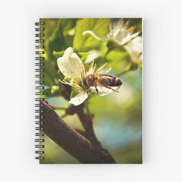 Item preview, Beautiful photo of the bee on the blossom flower designed and sold by anaden.