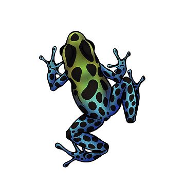 Artwork thumbnail, Poison dart frog - Ranitomeya variabilis by porpoisefully