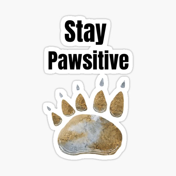 Stay Pawsitive Gift for Cat Lover  Sticker