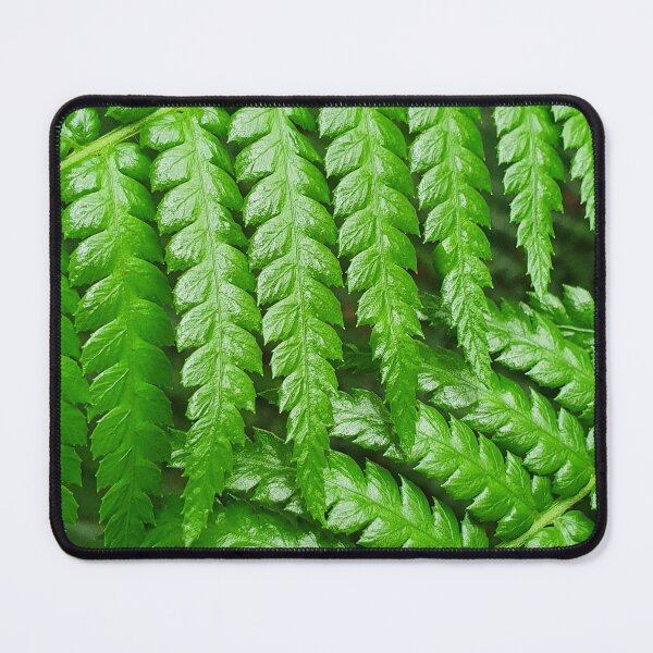 Item preview, Beautiful tree fern leaves designed and sold by Annaren2022.