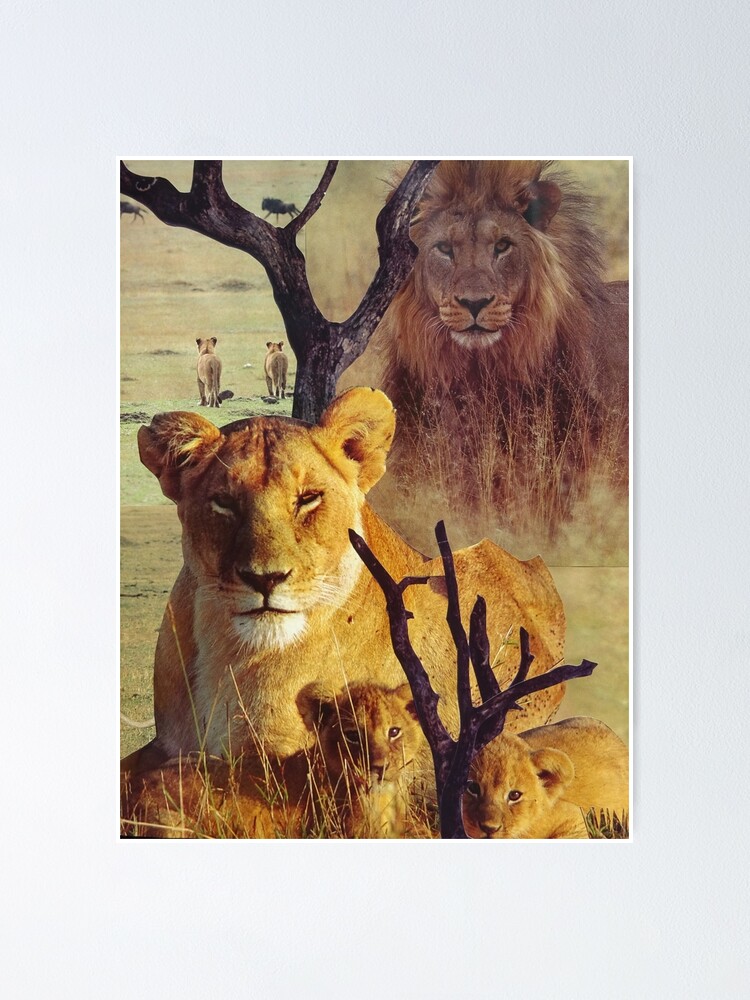 Póster «Familia de leones en el collage de la sabana» de NoPlanB | Redbubble