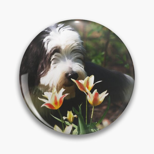 Artikelvorschau, Bärtiger Collie, der hübsche Blumenmalerei schnüffelt entworfen und verkauft von S Quinn.