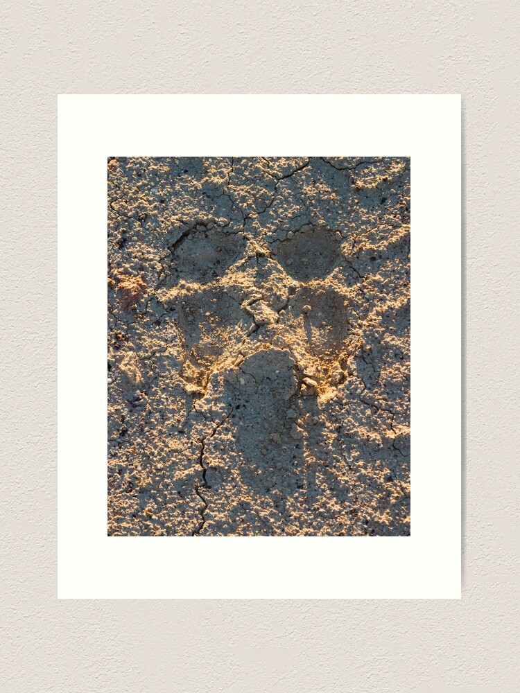 Thumbnail 1 of 3, Art Print, Camel scream designed and sold by DavidBurren.