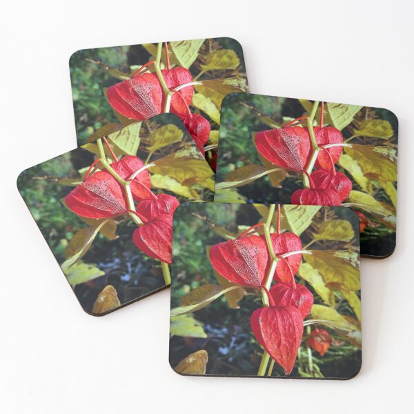 Item preview, lantern flower designed and sold by Gourmetkater.