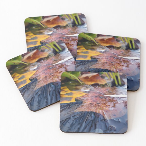 Item preview, ice on garden pond designed and sold by Gourmetkater.