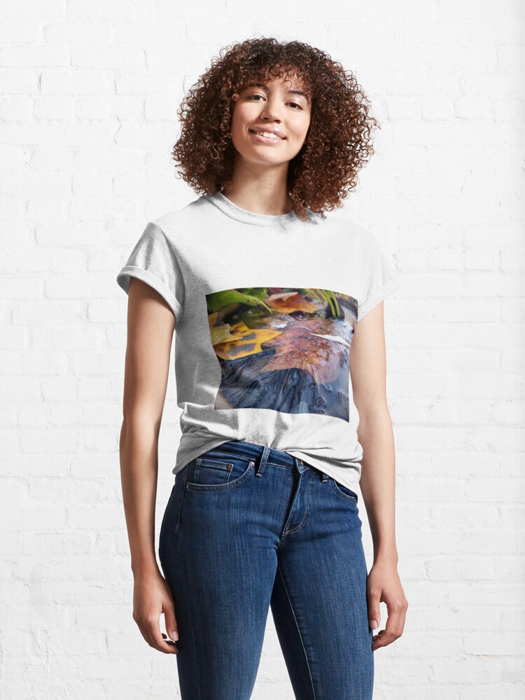 Alternative Ansicht von Eis auf Gartenteich Classic T-Shirt