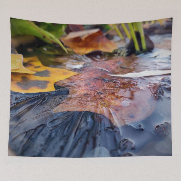 Item preview, ice on garden pond designed and sold by Gourmetkater.