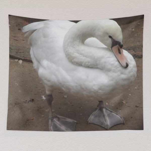 Item preview, Beautiful White Duck designed and sold by sagnik2007.