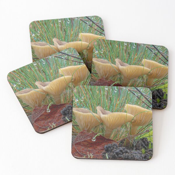 Item preview, Swollen Foot Clitocybe - Ampulloclitocybe clavipes designed and sold by AGaymard.
