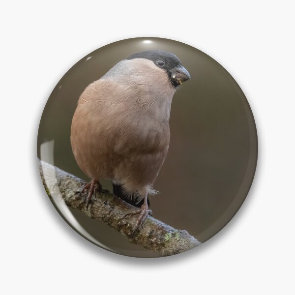 Item preview, Female bullfinch in the rain designed and sold by JLP ARTWORKS.