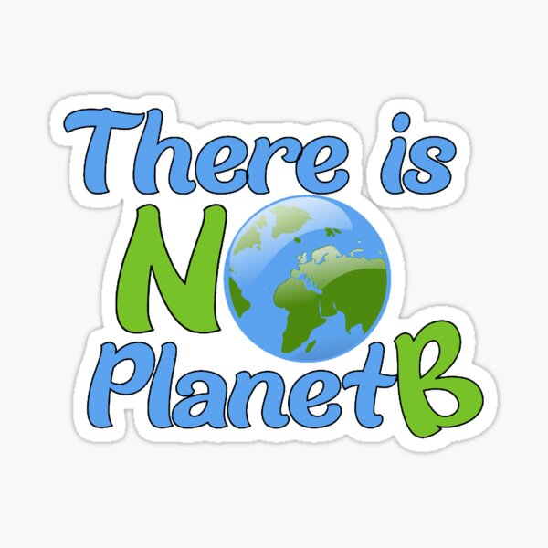 Quote There is No Planet B Sticker