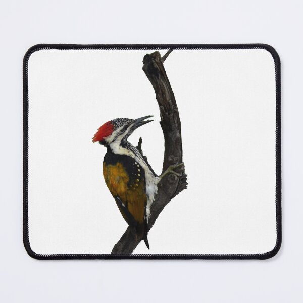 Item preview, Black-rumped flameback Woodpecker perched on a tree designed and sold by VeenaNair23.