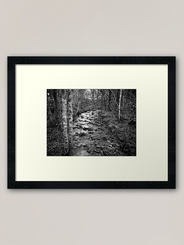 Alternate view of Woodland Stream Framed Art Print