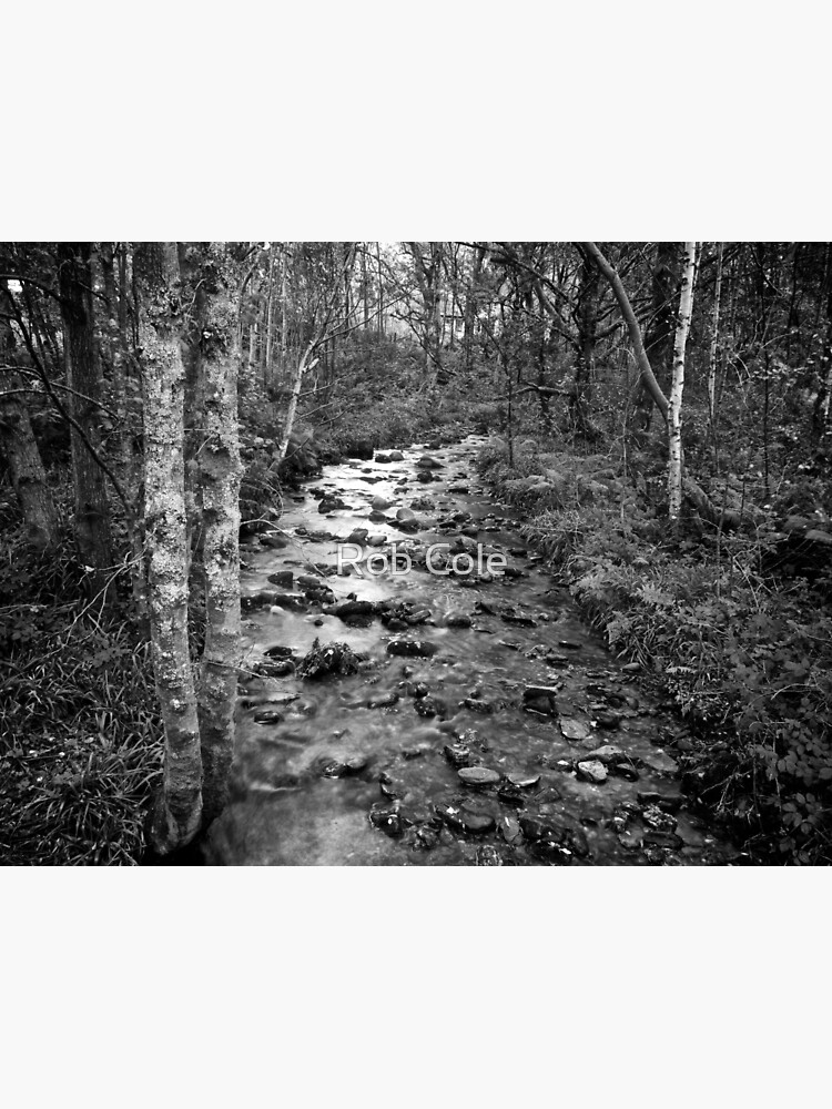 Woodland Stream by robcole