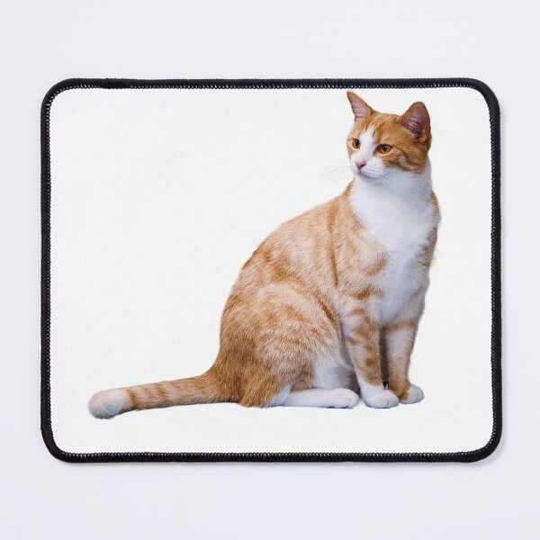 Item preview, country cat designed and sold by ANIMAL T-SHIRT.
